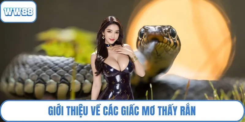 Giới thiệu về các giấc mơ thấy rắn