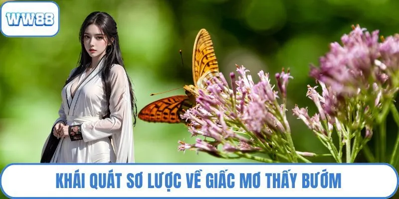 Khái quát sơ lược về giấc mơ thấy bướm