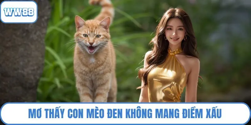 Mơ thấy con mèo đen không mang điềm xấu