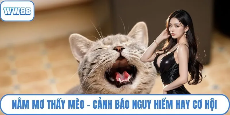 Nằm mơ thấy mèo