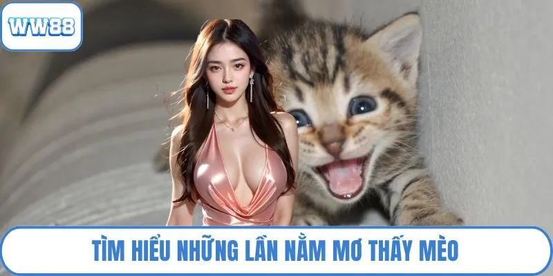 Tìm hiểu những lần nằm mơ thấy mèo