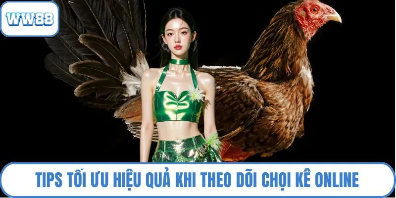 Tips tối ưu hiệu quả khi theo dõi chọi kê online