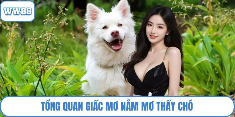 Tổng quan giấc mơ nằm mơ thấy chó