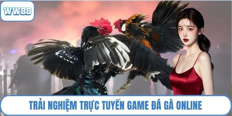Trải nghiệm trực tuyến game đá gà online